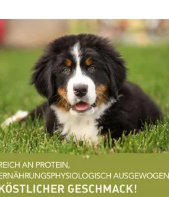 ACANA Trockenfutter für Hunde Heritage Puppy Large Breed Recipe