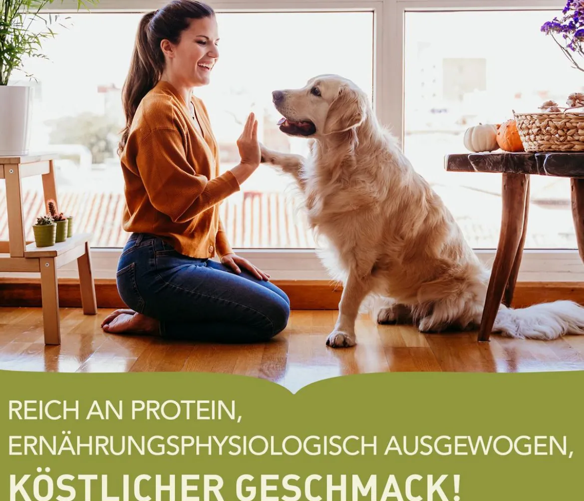 ACANA Trockenfutter für Hunde Heritage Adult Dog Recipe
