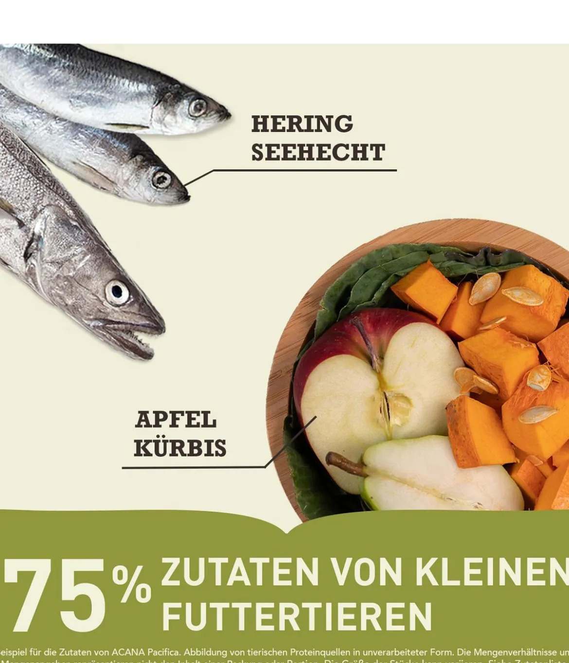 ACANA Trockenfutter für Katzen Regionals Cat Pacifica