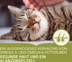 ACANA Trockenfutter für Katzen Regionals Cat Wild Prairie