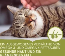 ACANA Trockenfutter für Katzen Regionals Cat Grasslands