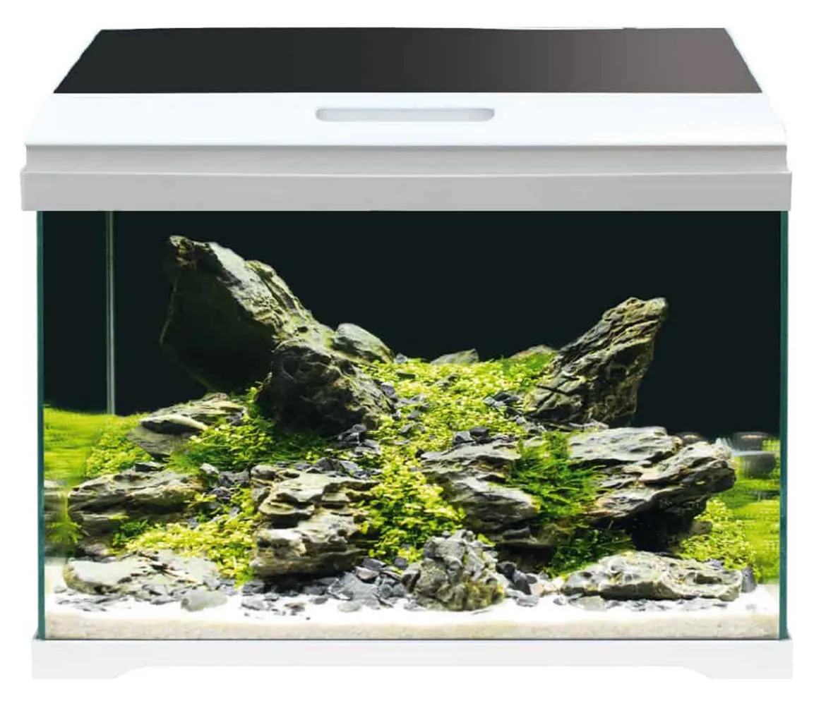 amtra Aquarium-Set Modern Tank 40 LED, 28 l, weiß, ca. B42,5/H36,5/T23,5 cm