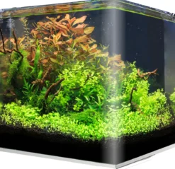 amtra Aquarium-Set Nanotank System