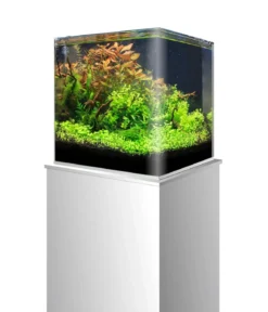 amtra Aquarium-Set Nanotank System