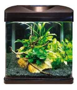 amtra Aquarium-Set Wave Laguna 30 LED, 18 l, schwarz, ca. B30/H34,5/T23,5 cm