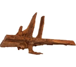 amtra Mangrovenholz XL, 70 - 100cm