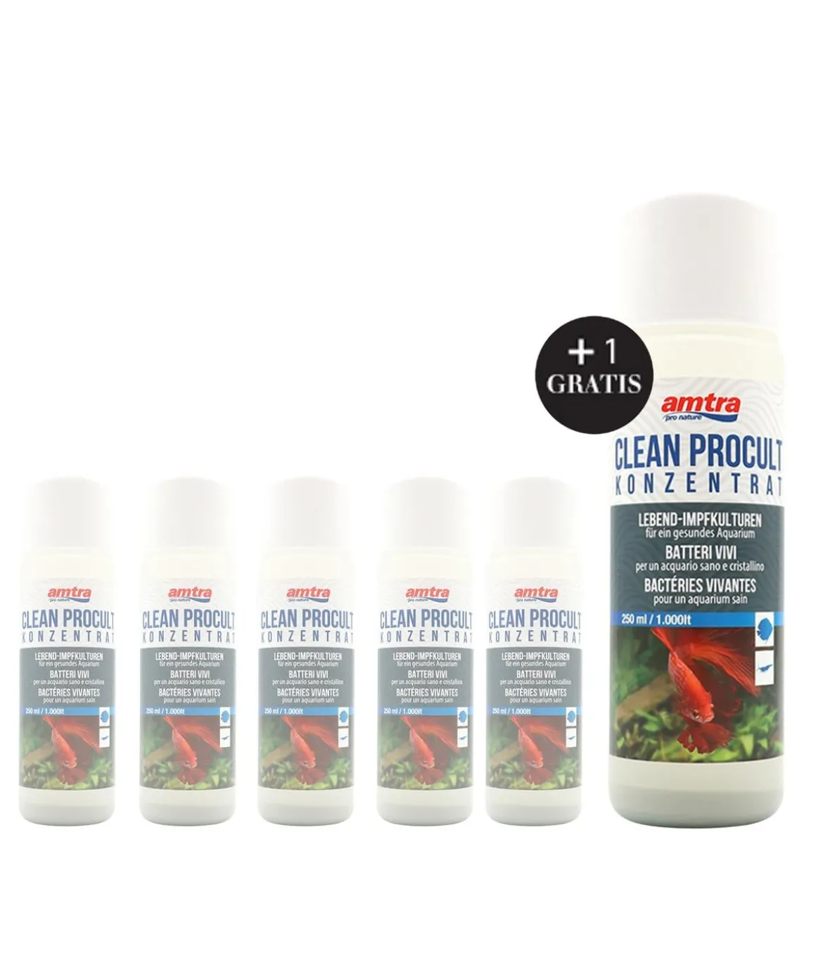 amtra Wasseraufbereiter Clean Procult Konzentrat, 5+1 x 250 ml