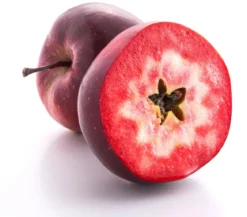 Apfel 'Vampira'