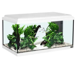 aquatlantis Aquarium Advance 60 LED Set