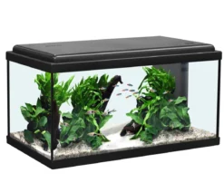 aquatlantis Aquarium Advance 60 LED Set