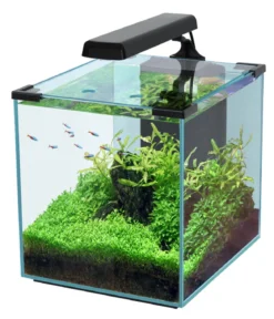 aquatlantis Aquarium Nano Cubic 30