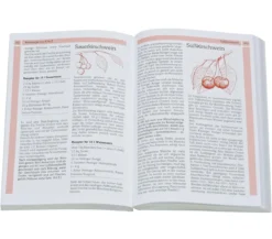 Arauner Ratgeber Kitzinger Weinbuch