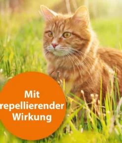 ARDAP® Zecken- und Flohschutz Spot-On für Katzen ab 4 kg, 3 x 0,8 ml
