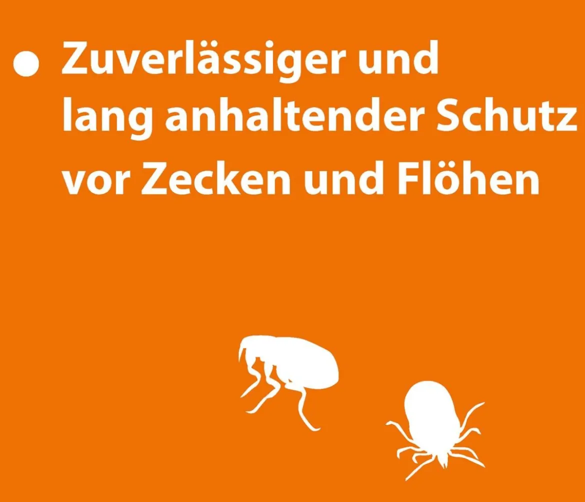 ARDAP® Zecken- und Flohschutz Spot-On für Katzen bis 4 kg, 3 x 0,4 ml