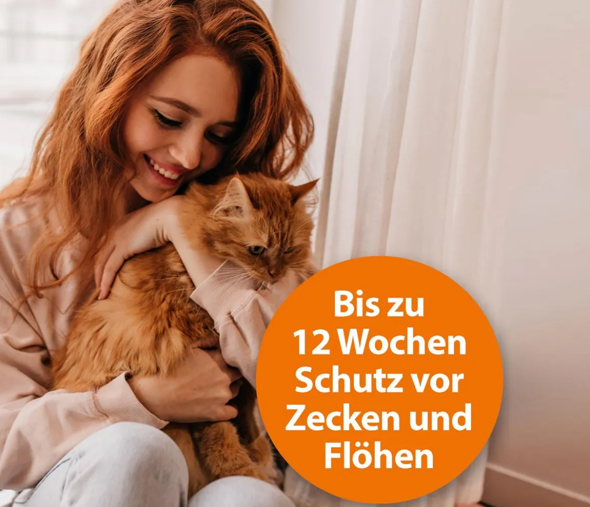 ARDAP® Zecken- und Flohschutz Spot-On für Katzen bis 4 kg, 3 x 0,4 ml
