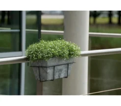 Artstone Kunststoff-Blumenkasten Ella