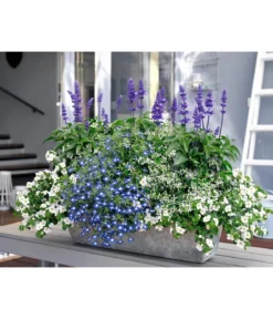 Artstone Kunststoff-Blumenkasten Ella