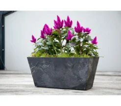 Artstone Kunststoff-Blumenkasten Ella