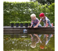 Artstone Kunststoff-Blumentopf Claire, rund