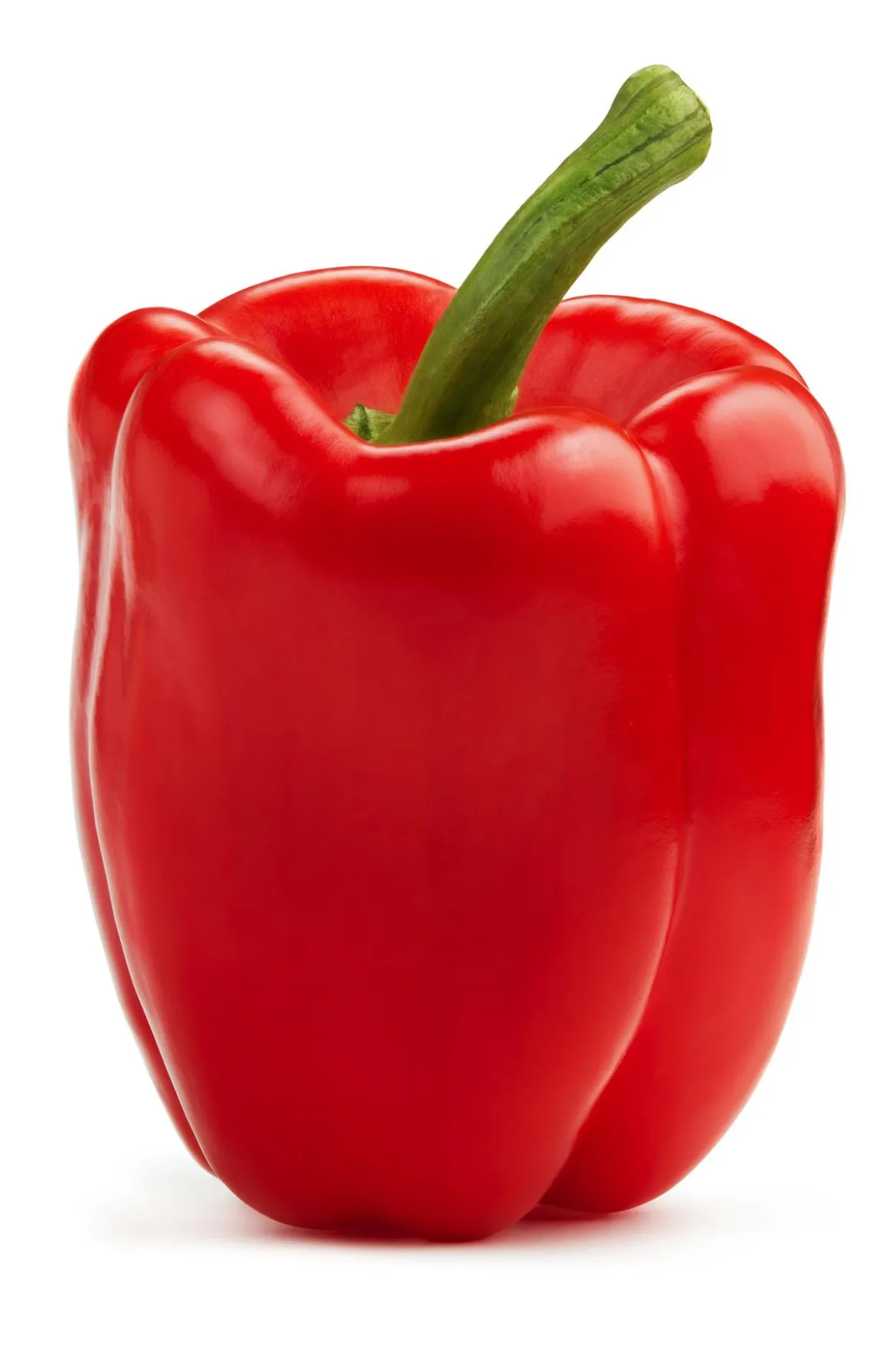 Balkonpaprika