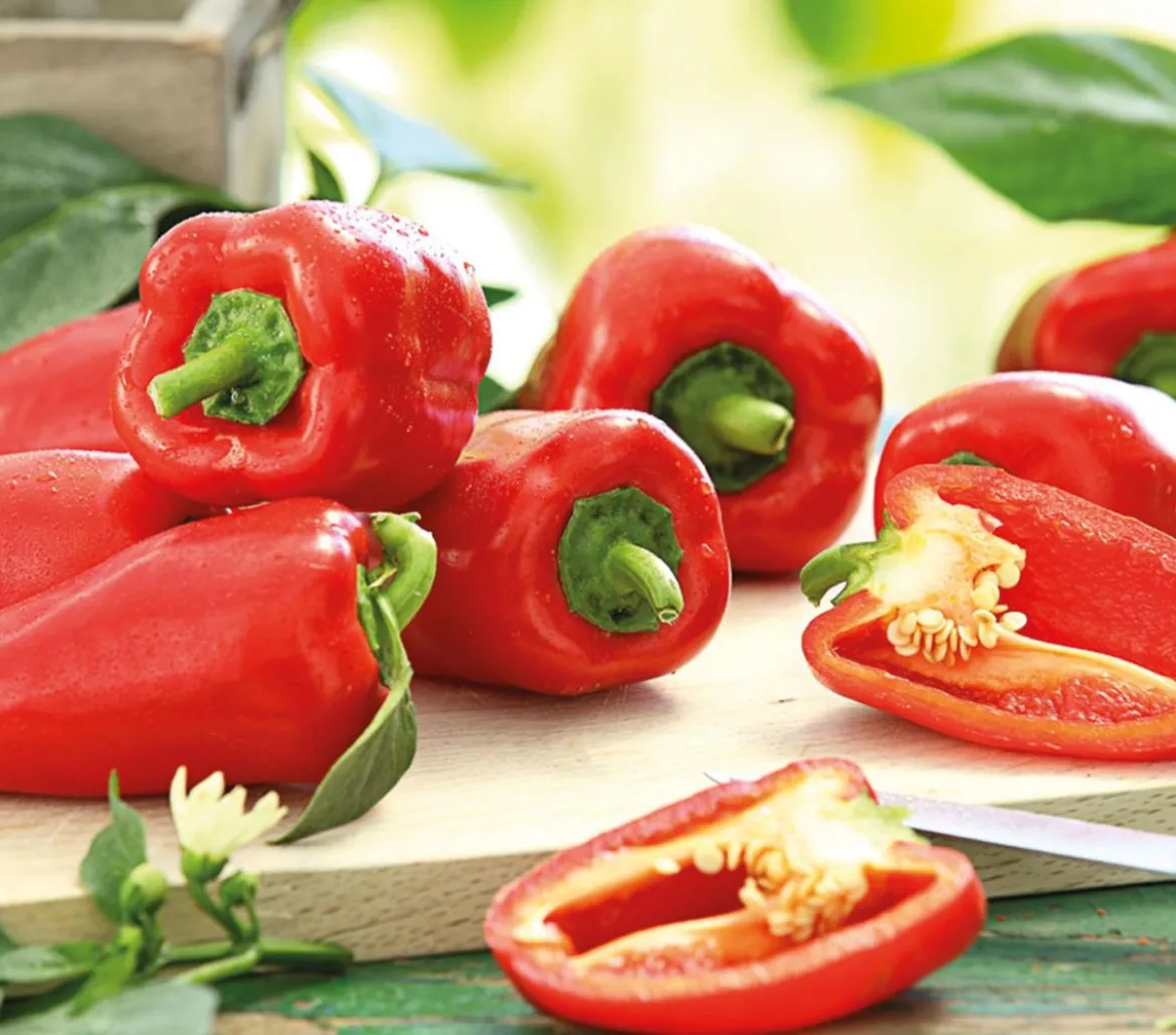 Balkonpaprika