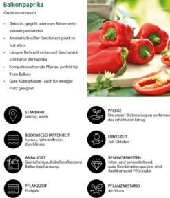 Balkonpaprika