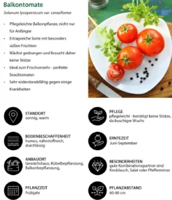Balkontomate