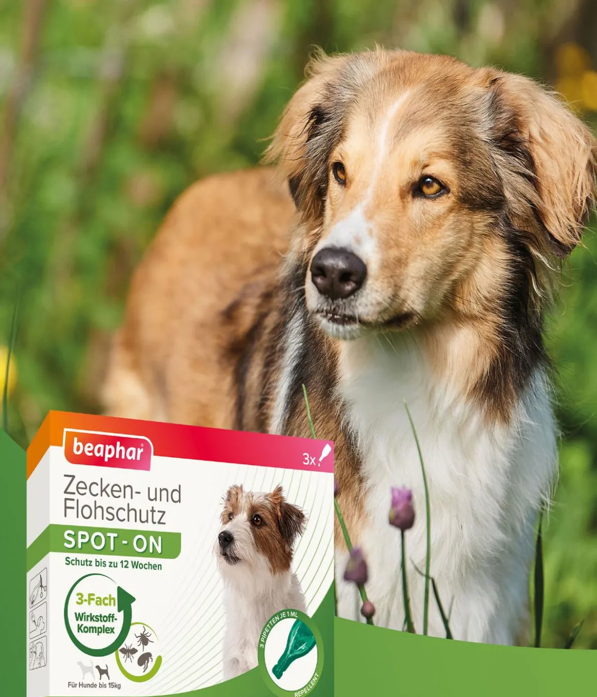beaphar Spot On für kleine Hunde, 3x1 ml