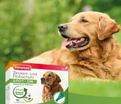 beaphar Zecken- & Flohschutz SPOT-ON für Hunde, 3x2 ml