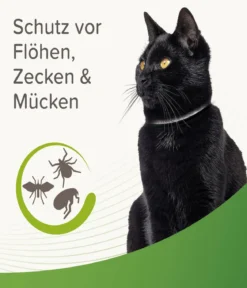 beaphar Zecken- und Flohschutzband für Katzen, 35 cm