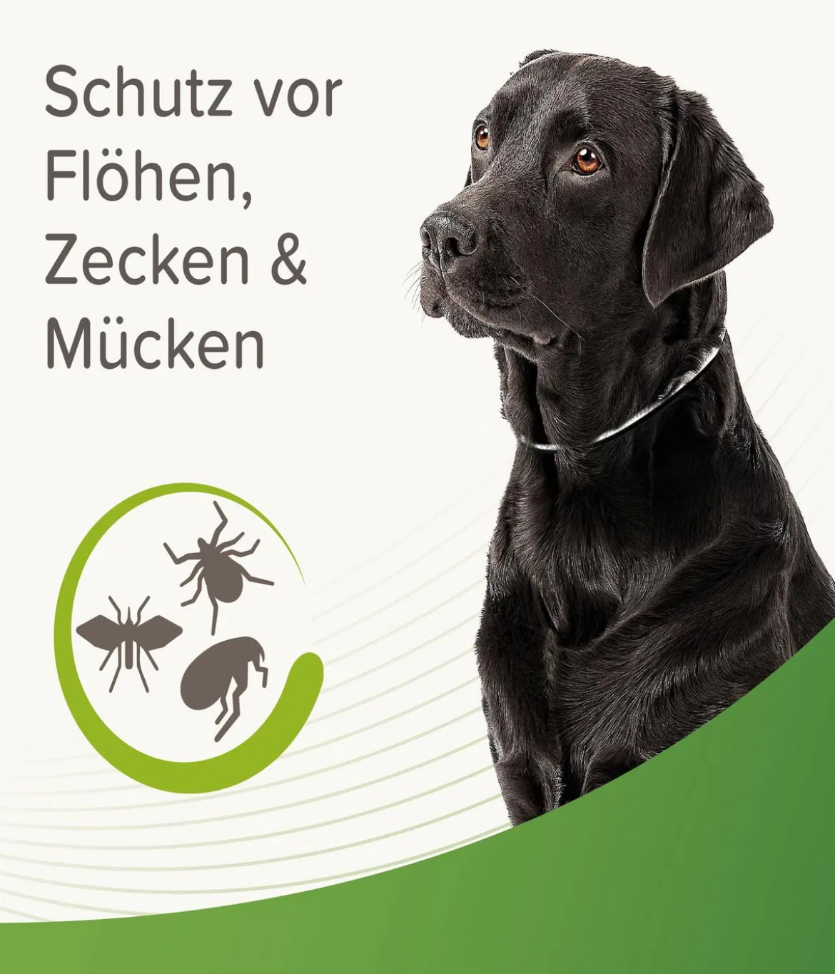 beaphar Zecken- und Flohschutzband für Hunde, 65 cm