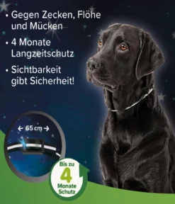beaphar Zecken- und Flohschutzband für Hunde, 65 cm
