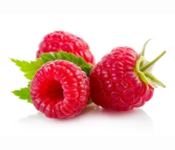 Beeren-Kiwi-Set Smoothie-Mix, 4-teilig