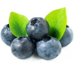 Beeren-Set Marmeladen-Mix, 4-teilig