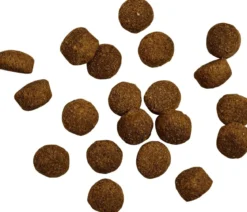 BELCANDO® Trockenfutter für Hunde Baseline Oldie & Light Adult/Senior, Geflügel, 12,5 kg