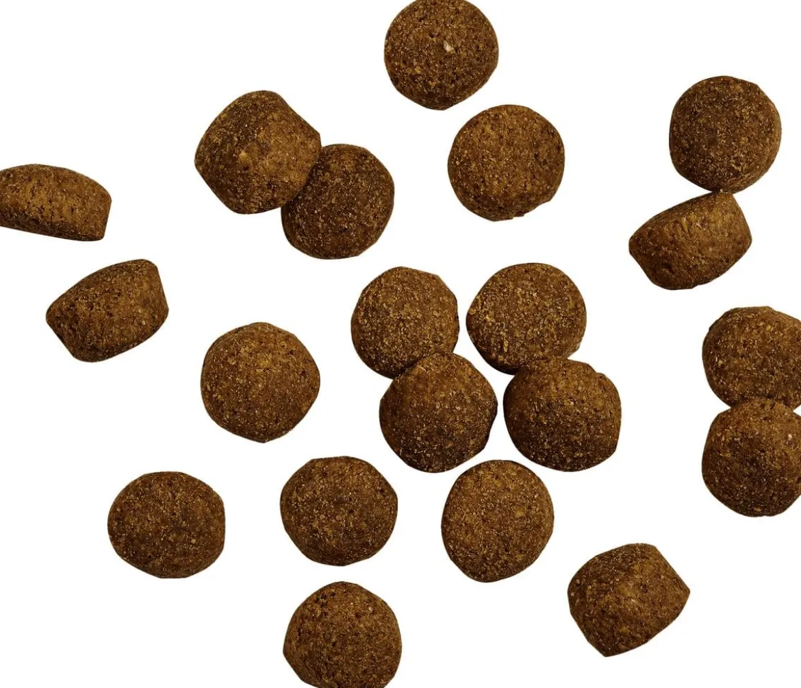 BELCANDO® Trockenfutter für Hunde Baseline Fisher Adult, Geflügel & Fisch, 12,5 kg