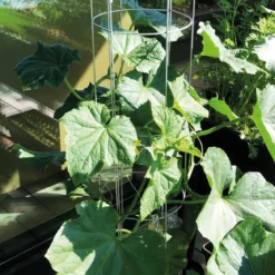 bellissa Gurkenturm, 120 cm - Ø 20 cm