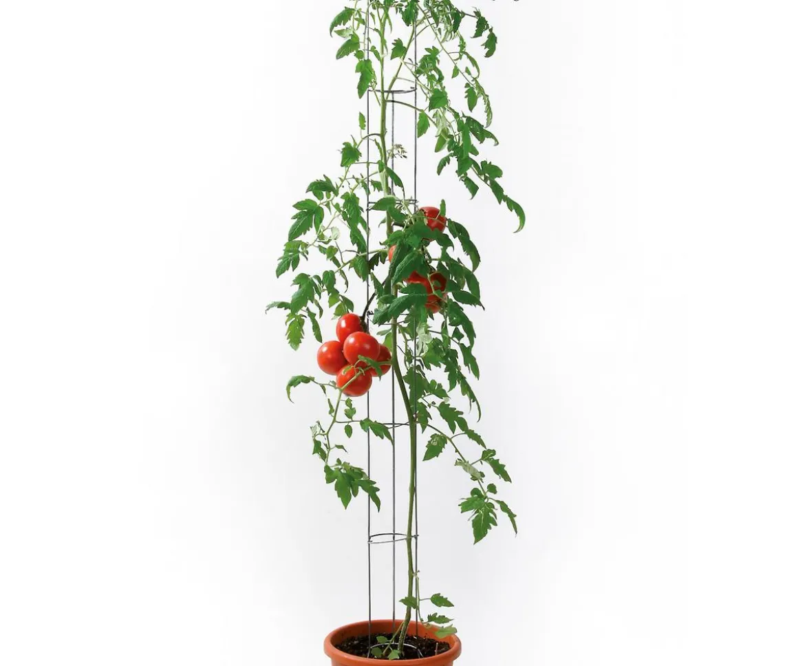 bellissa Metall-Tomatensäule, grün