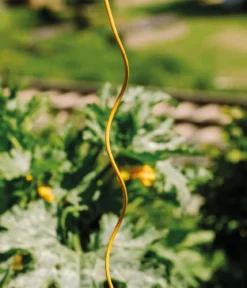 bellissa Stahl-Tomatenspirale Colorata