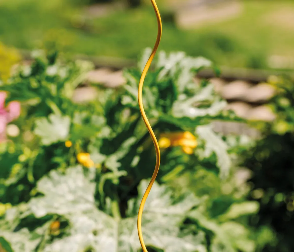 bellissa Stahl-Tomatenspirale Colorata