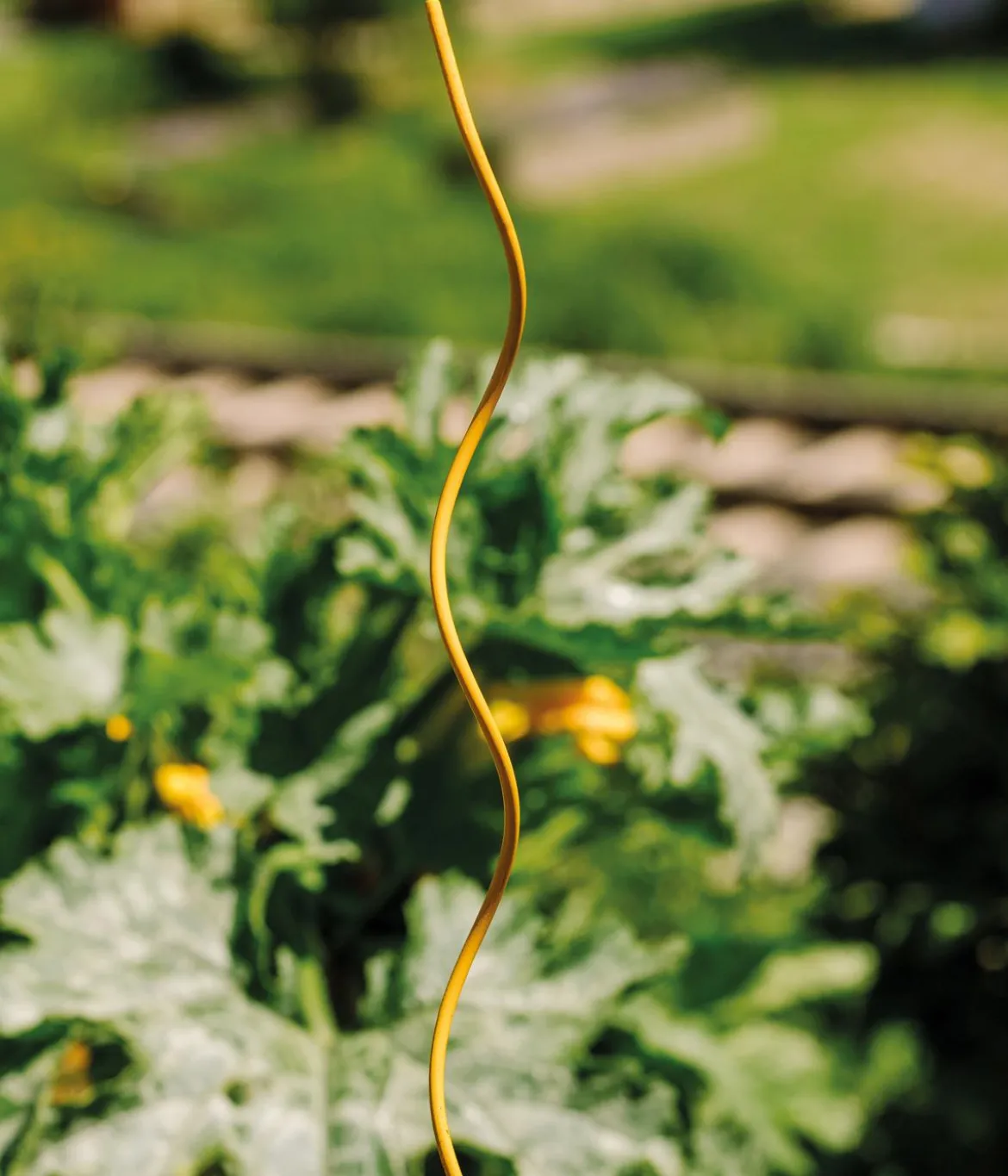 bellissa Stahl-Tomatenspirale Colorata