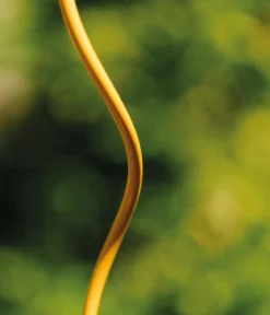 bellissa Stahl-Tomatenspirale Colorata