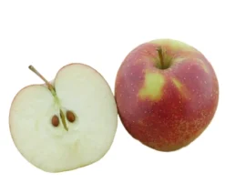 Bio Apfel 'Wellant'®, Landlust Kollektion