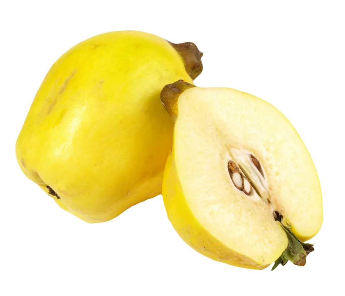 Bio Birnenquitte 'Cydora Robusta', Landlust Kollektion