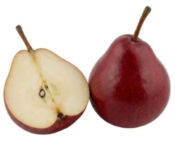 Bio Birne 'Rote Williams Christ', Landlust Kollektion