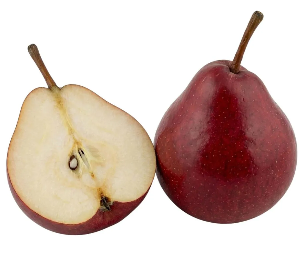 Bio Birne 'Rote Williams Christ', Landlust Kollektion