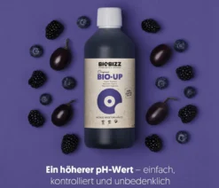BioBizz® Bio-Up pH-Regulator pH+, flüssig, 250 ml