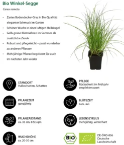 Bio Bodendecker Gräser-Set Grüne Oase, 9-teilig