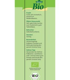 Bio Erdbeere, immertragend, 6er-Schale