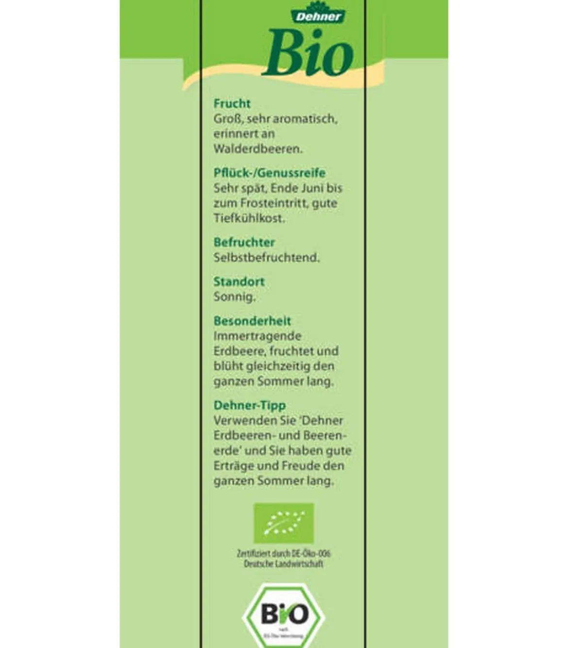 Bio Erdbeere, immertragend, 6er-Schale